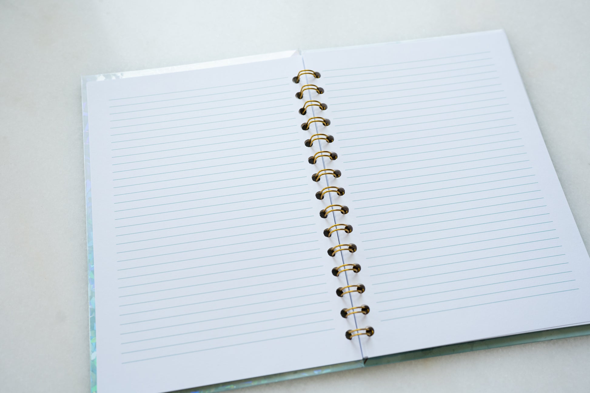 Bluebird Pas de Deux Sparkle Planner