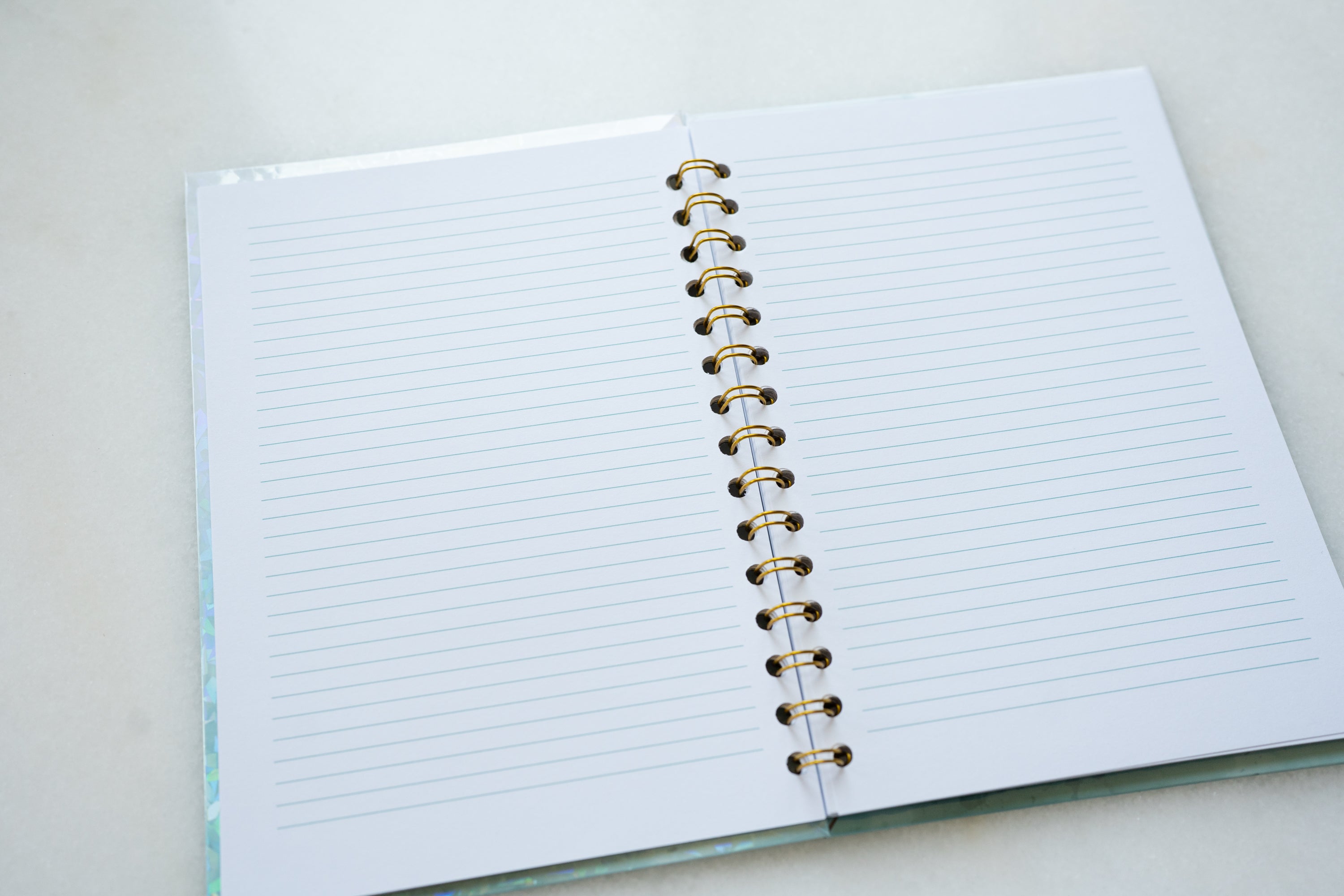Bluebird Pas de Deux Sparkle Planner