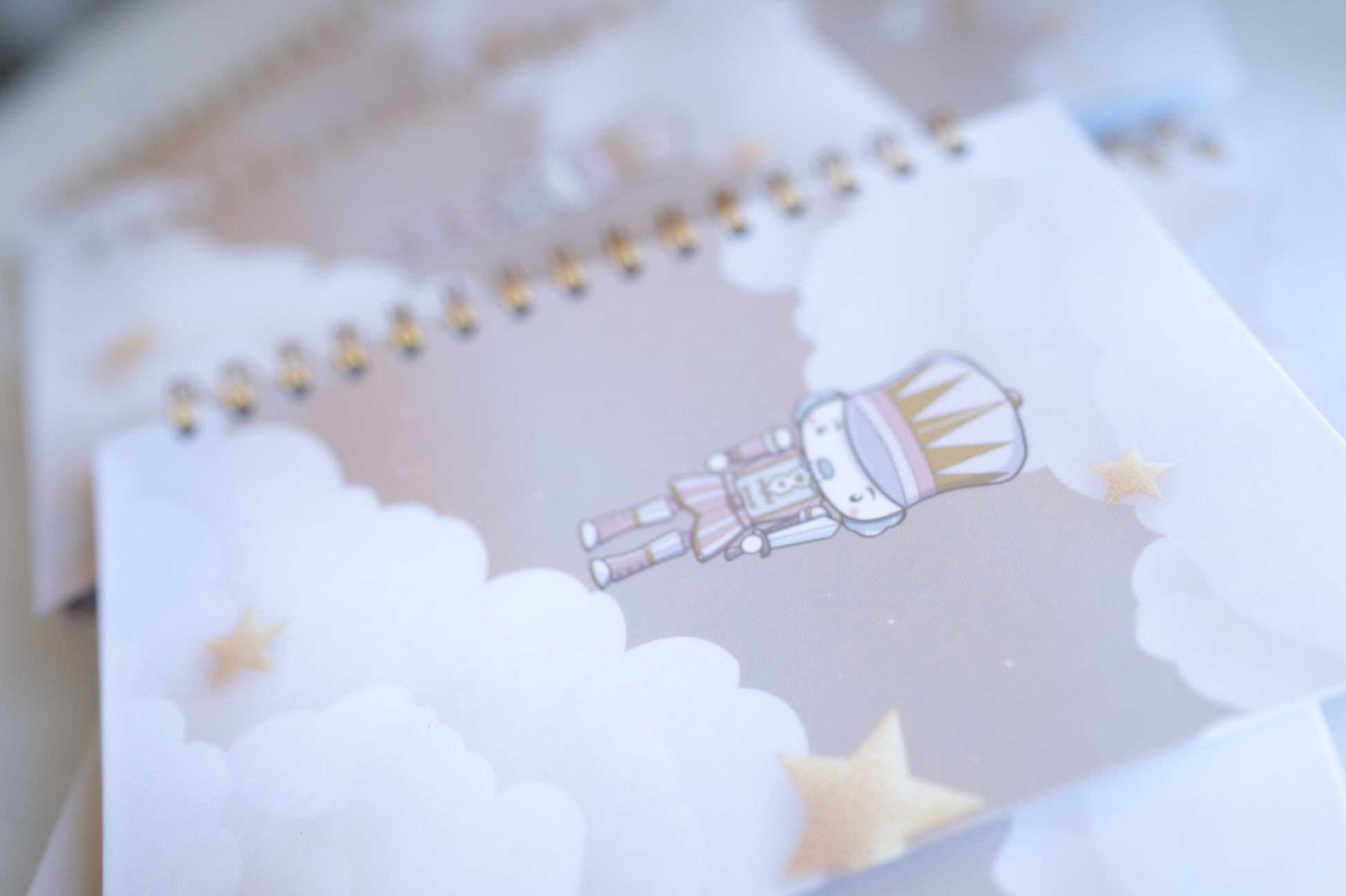 My Nutcracker Journal