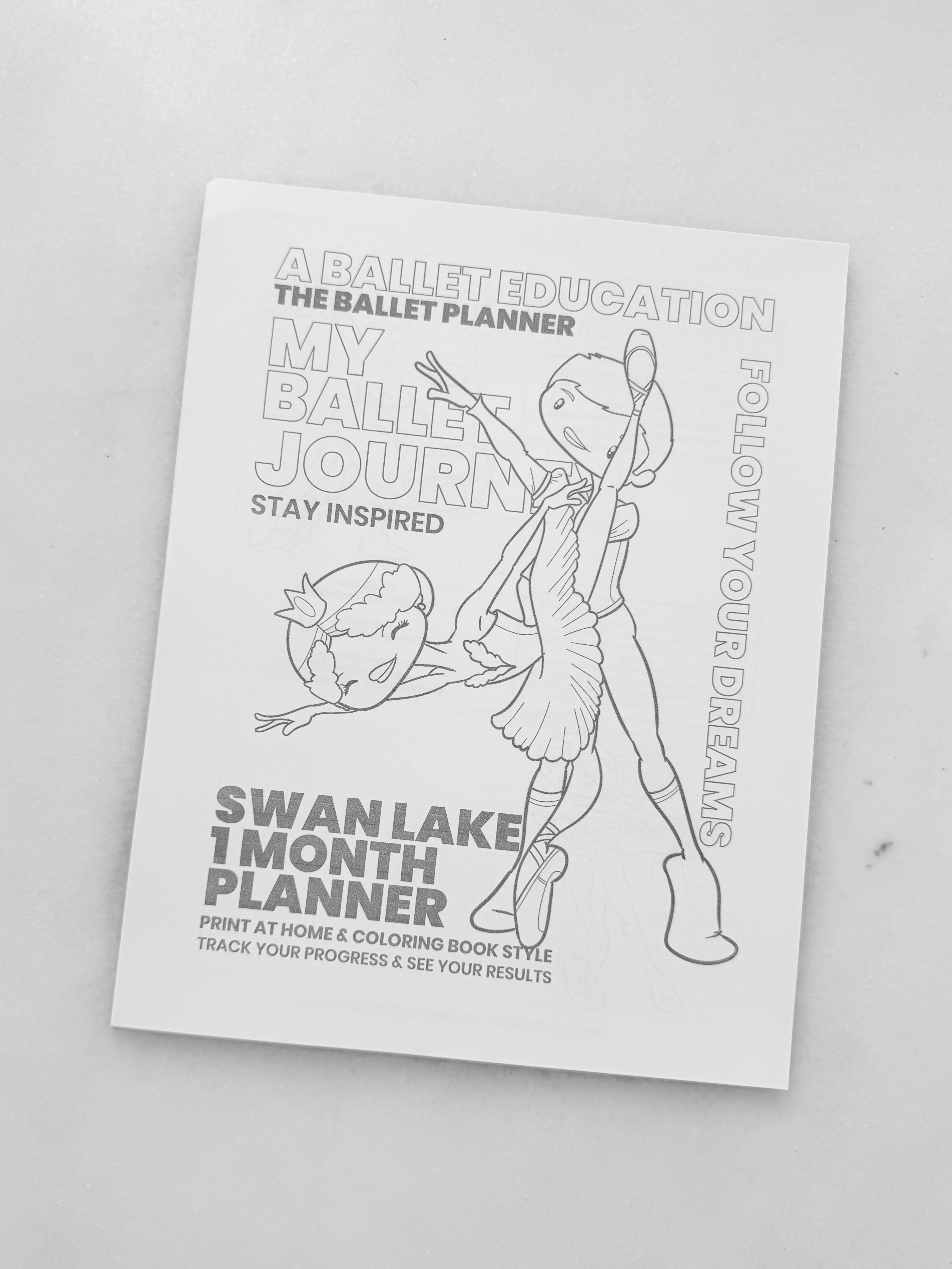 Swan Lake Coloring Book & Planner