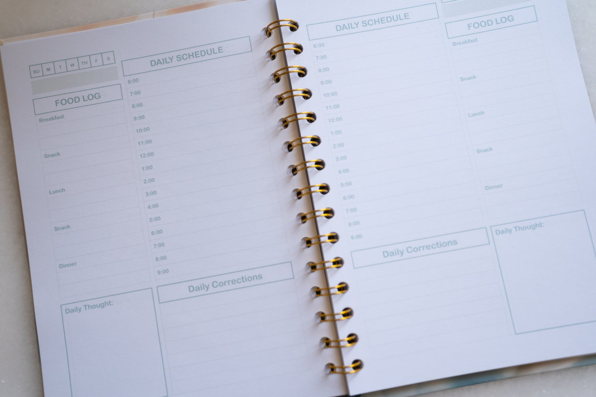Swan Dreams Planner