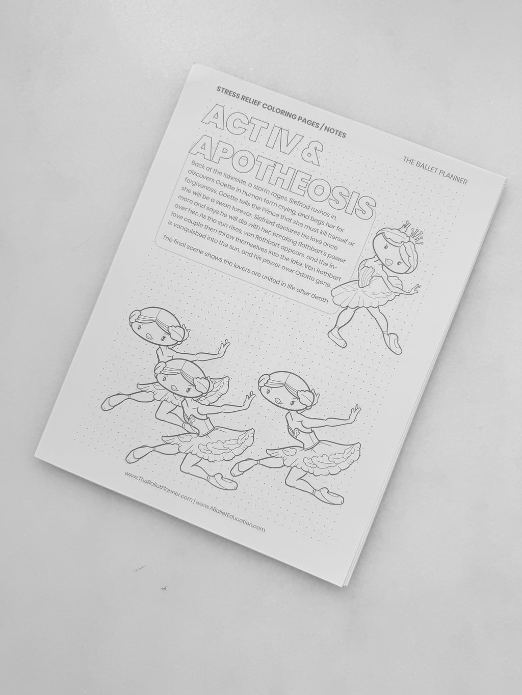 Swan Lake Coloring Book & Planner