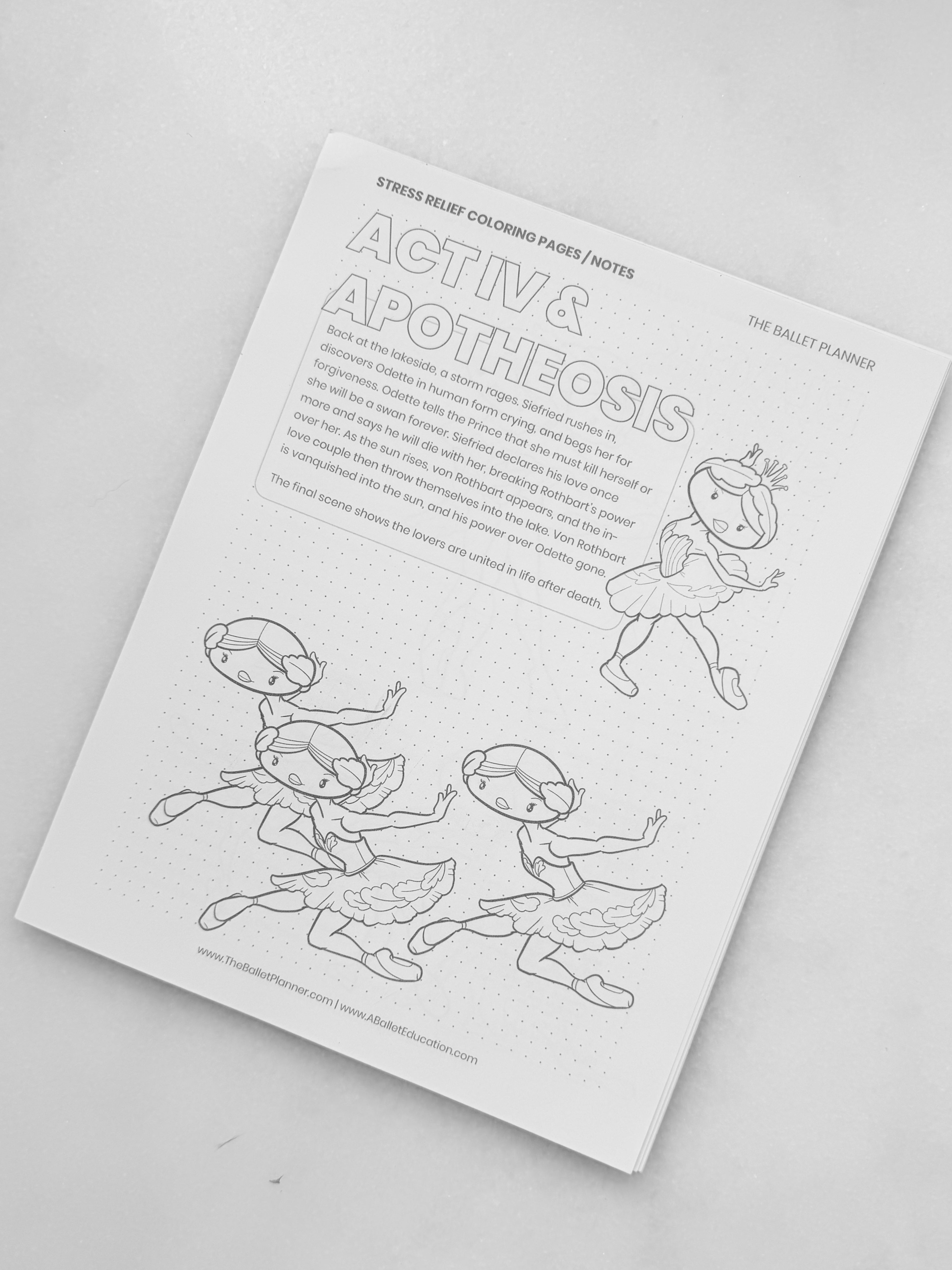 Swan Lake Coloring Book & Planner