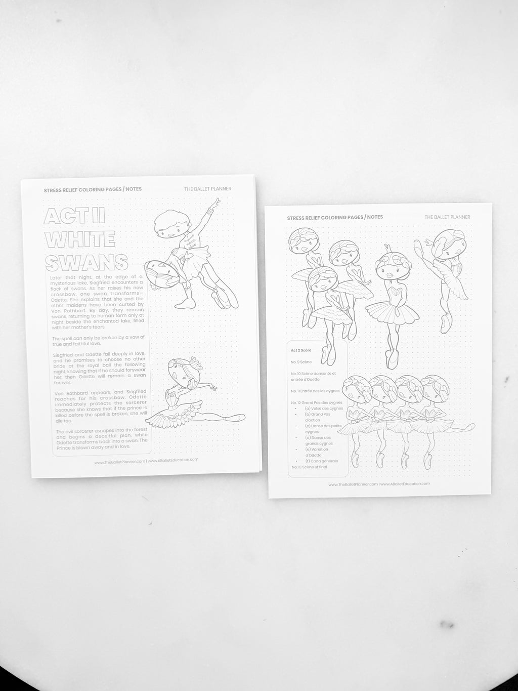 Swan Lake Coloring Book & Planner