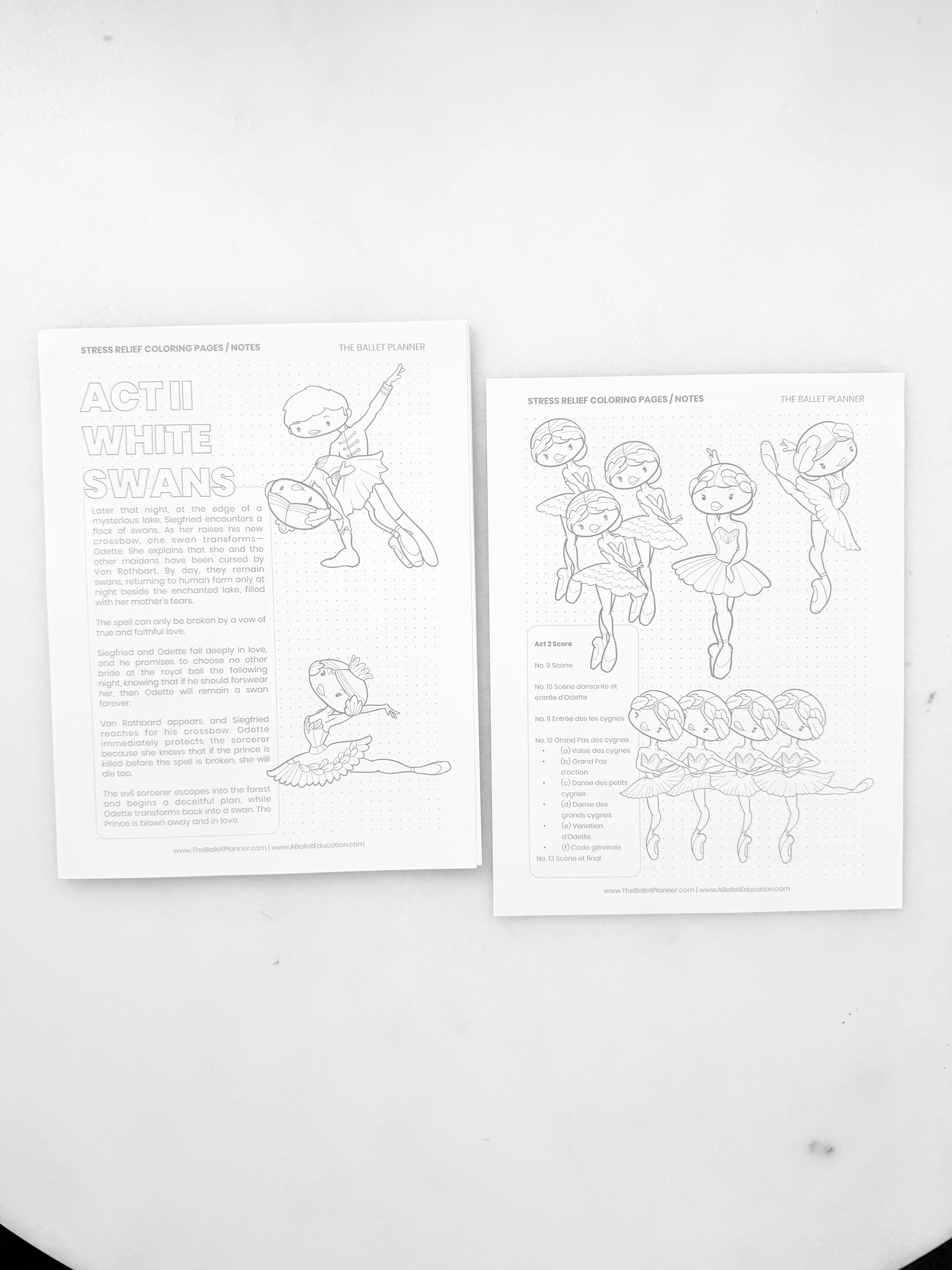 Swan Lake Coloring Book & Planner