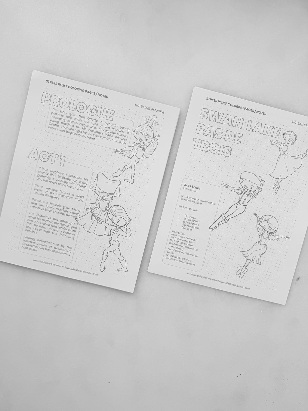 Swan Lake Coloring Book & Planner