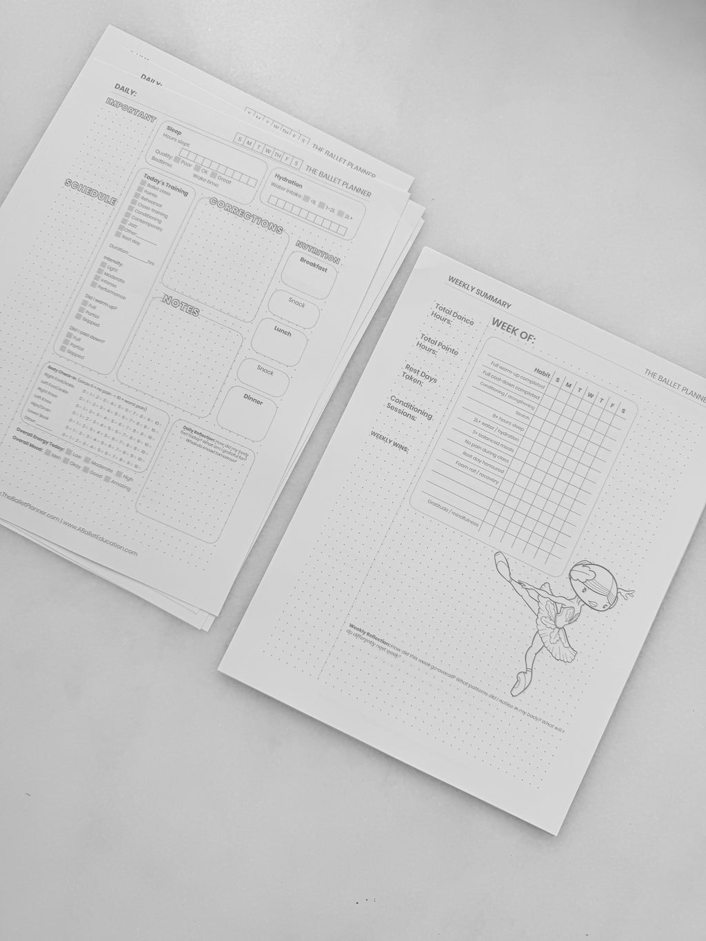 Swan Lake Coloring Book & Planner