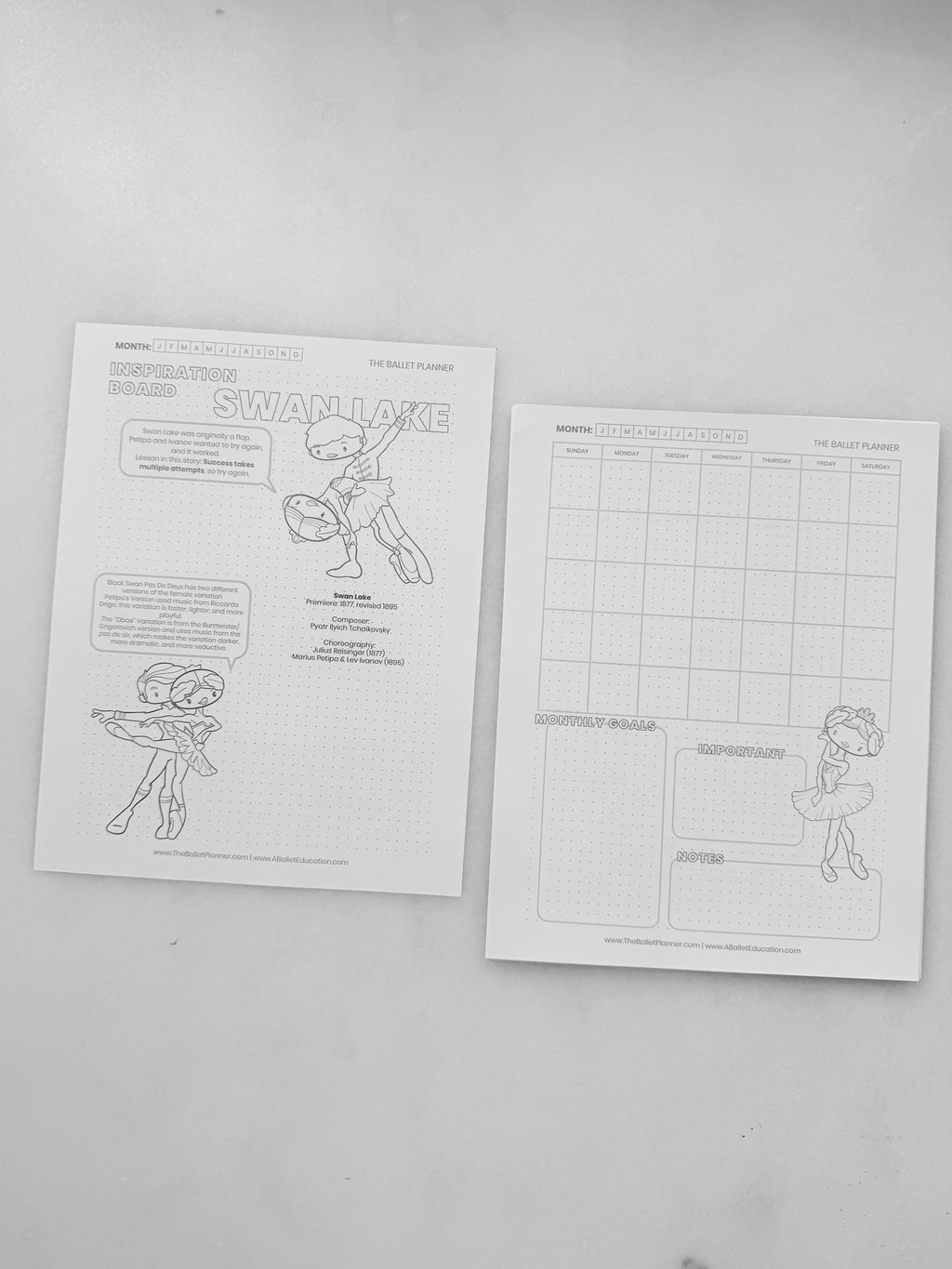 Swan Lake Coloring Book & Planner