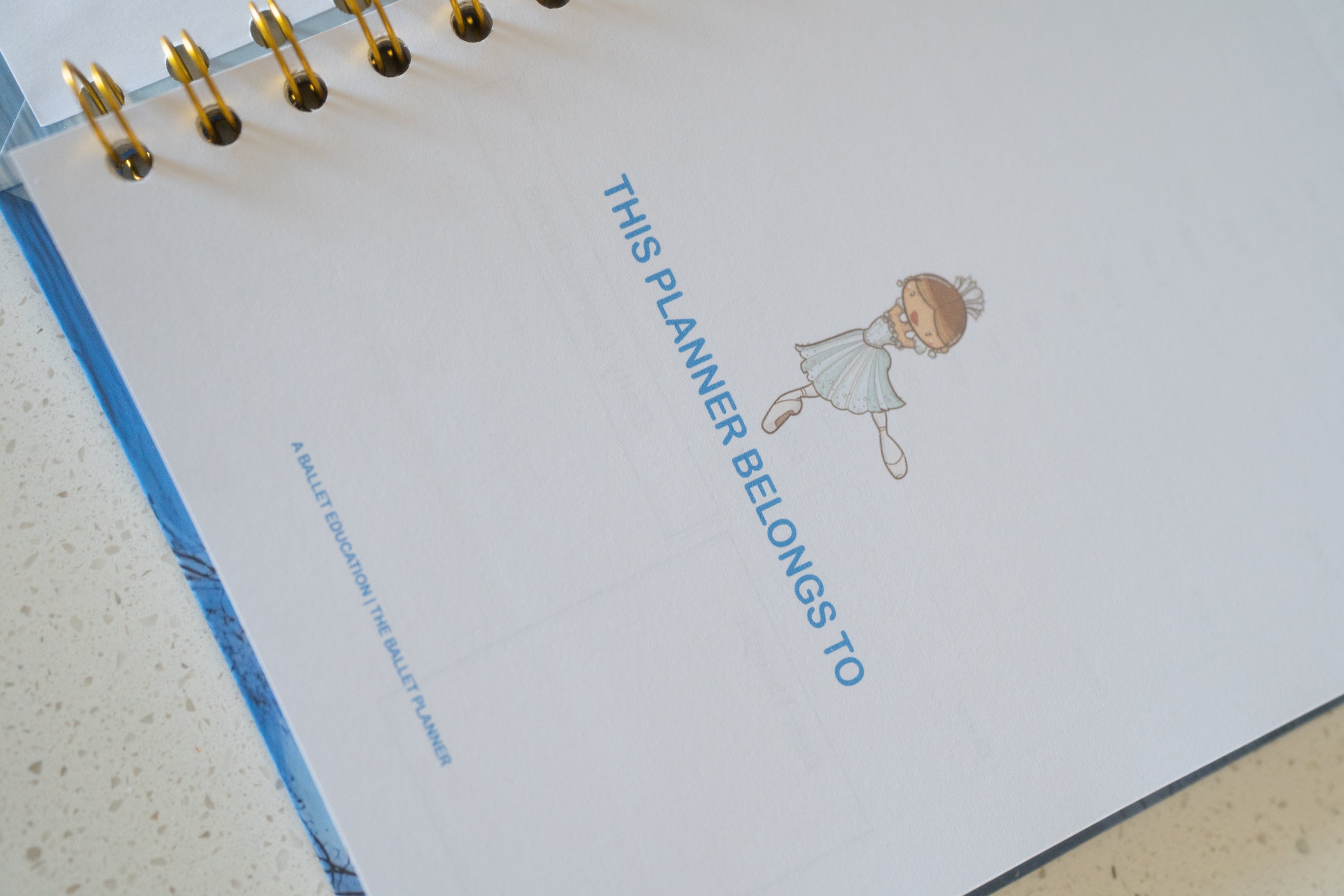 Snow Planner