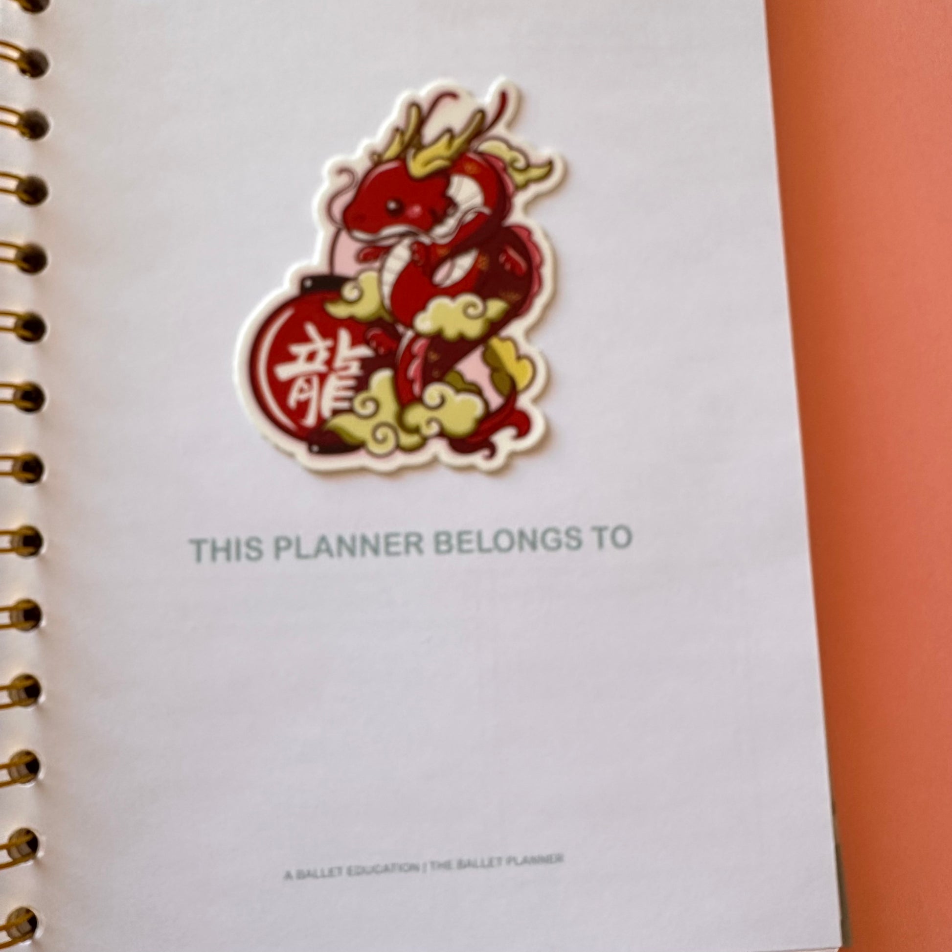 Year of the Dragon